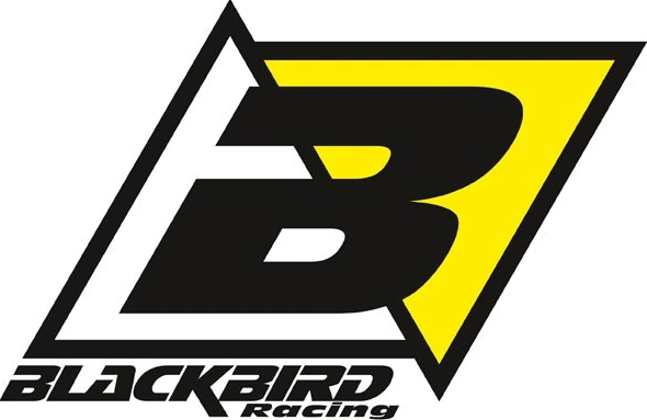 Blackbird