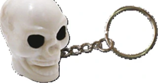 Triktopz Skull key chain