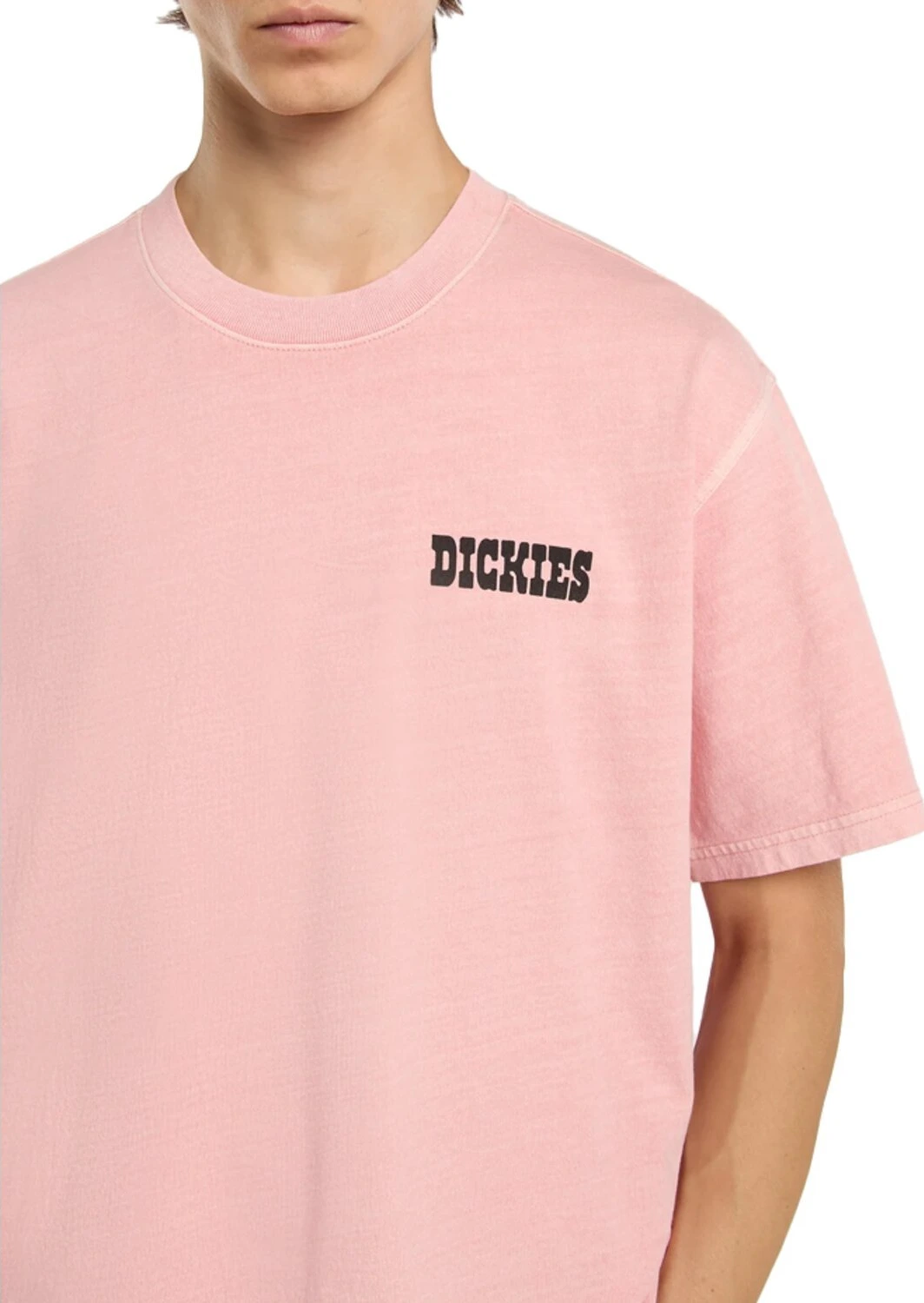 Dickies Buchtell t-shirt, bridal rose Pink, S