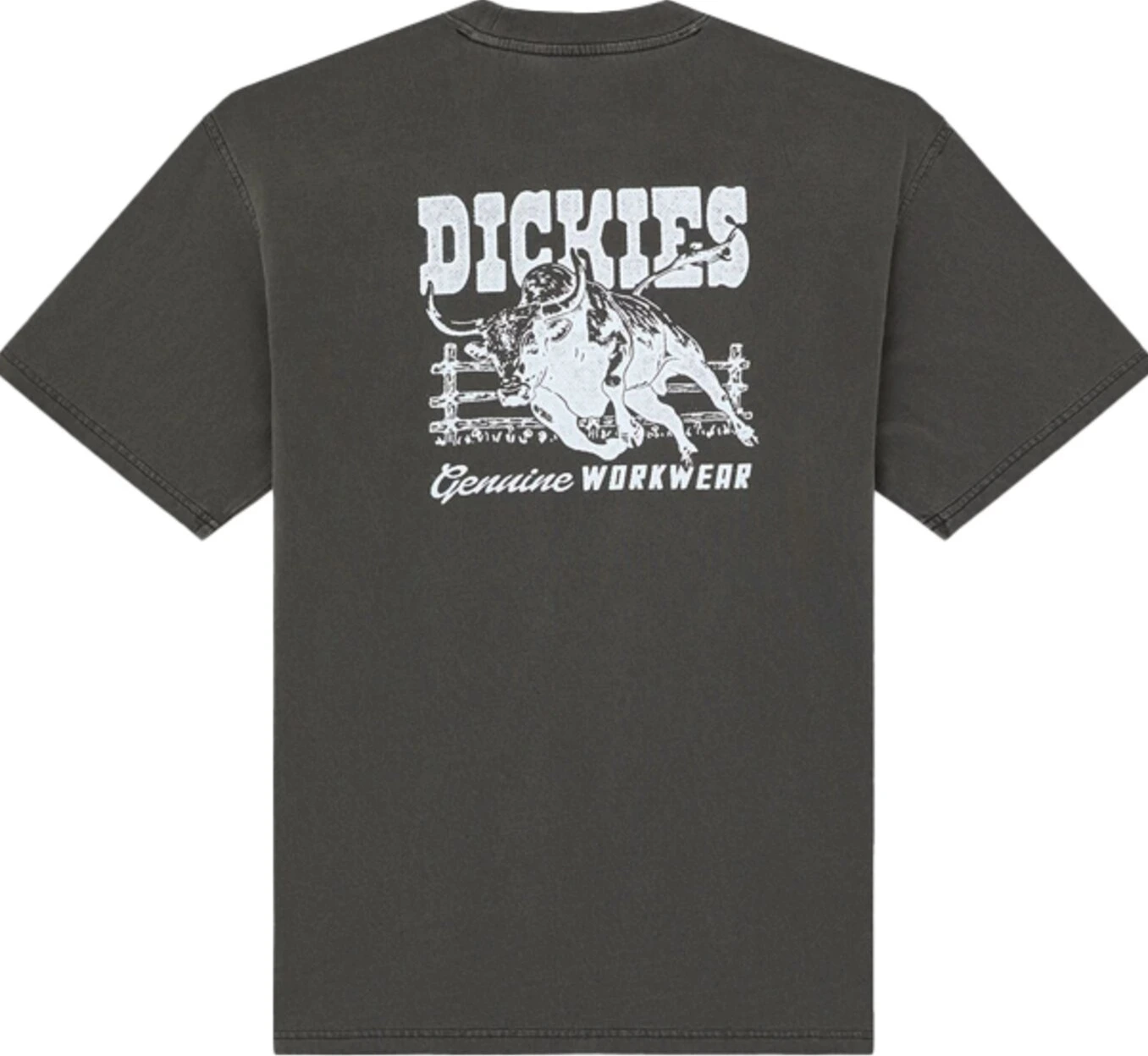 Dickies Buchtell t-shirt, Black, S