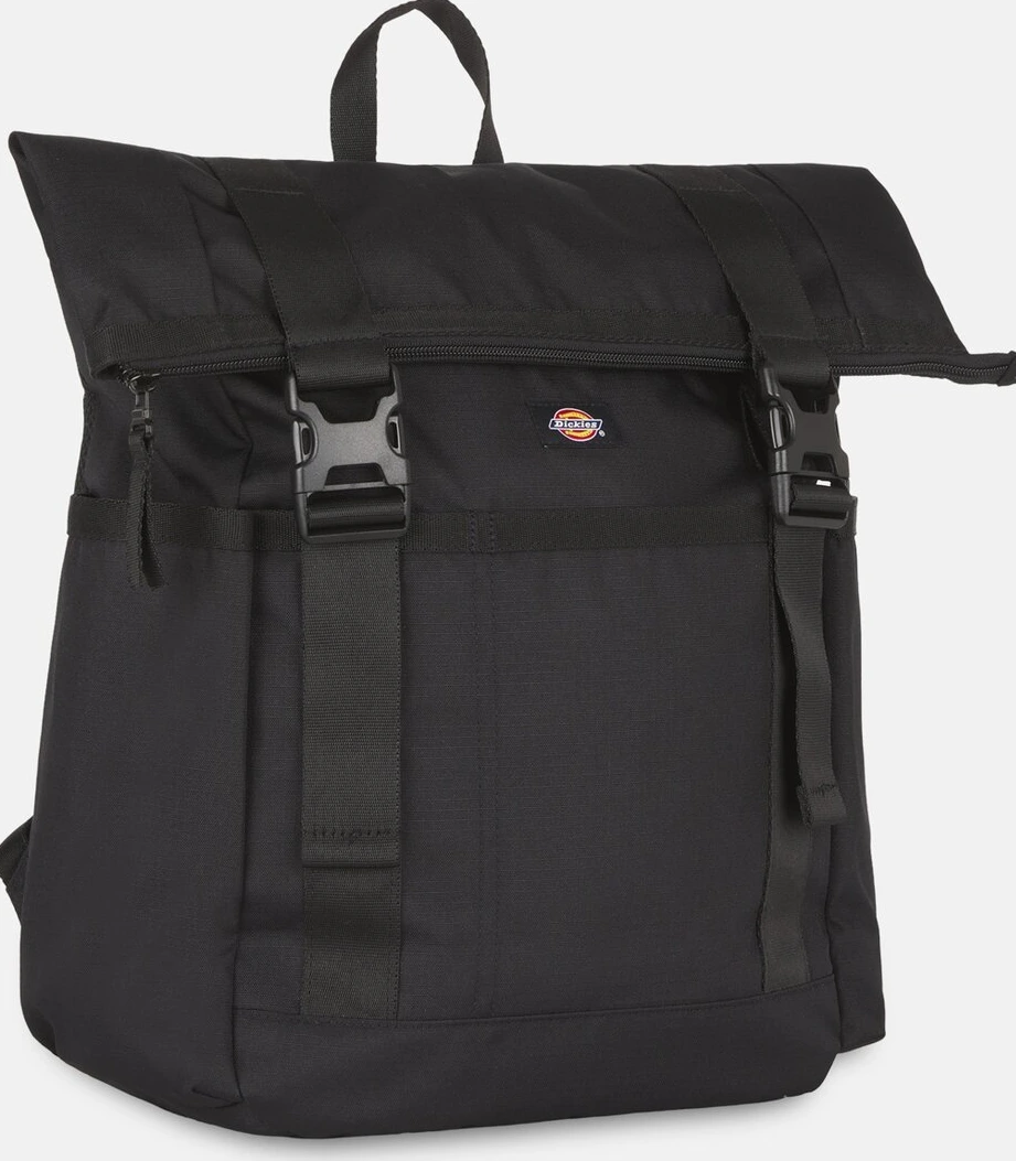 Dickies Ashville backpack, Black