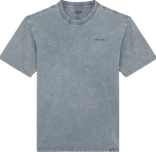 Dickies Plentywood t-shirt stormy weather