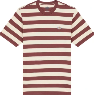 Dickies Rivergrove t-shirt andorra