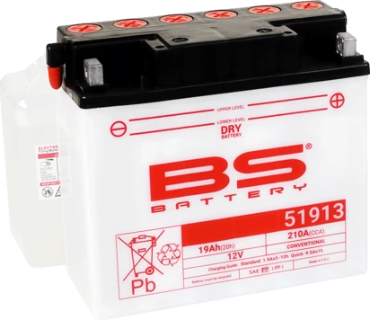 BS Battery 51913 (cp) Conventional Dry charged