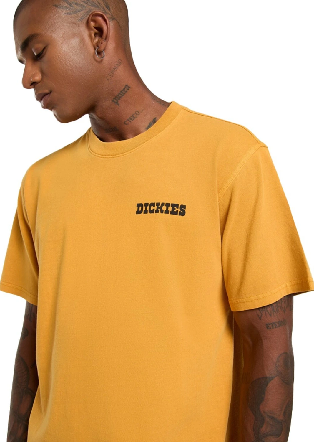 Dickies Darrtown t-shirt, sunflower Yellow, L