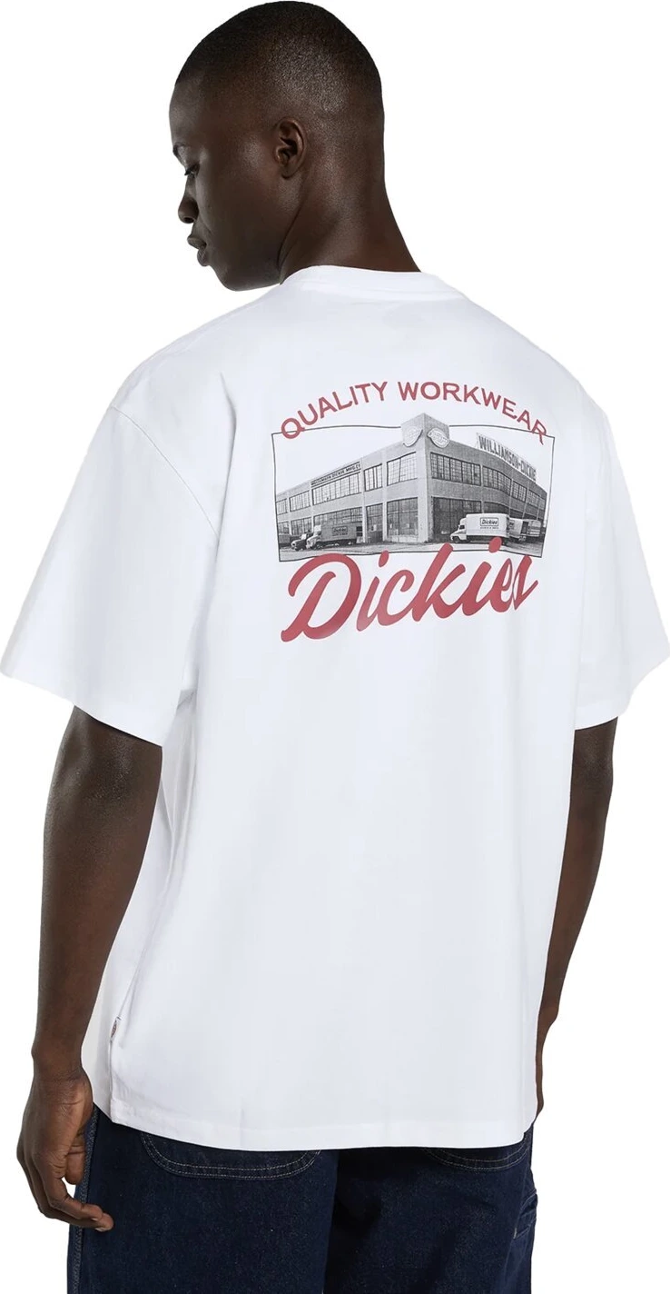 Dickies Wellsville t-shirt, White, L
