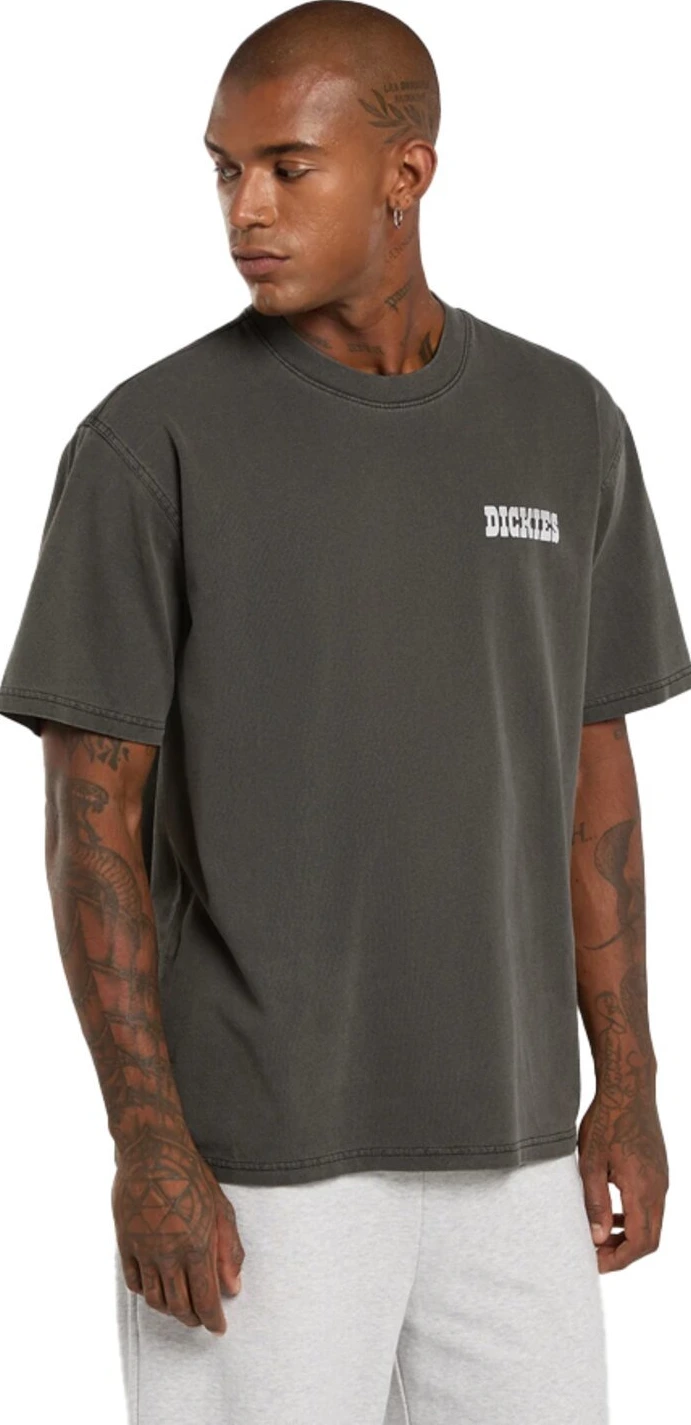 Dickies Buchtell t-shirt, Black, S