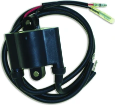 Cdi Elec. Yamaha uždegimo ritė