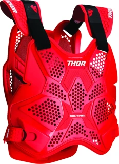 Sentinel Pro Guard