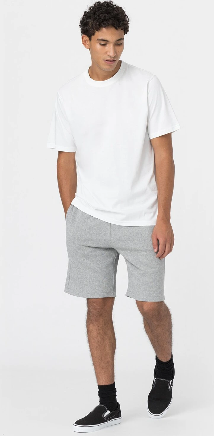 Dickies T-shirt pack, dark White, White, M