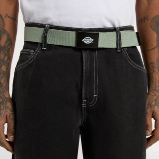Dickies Orcutt belt iceberg green