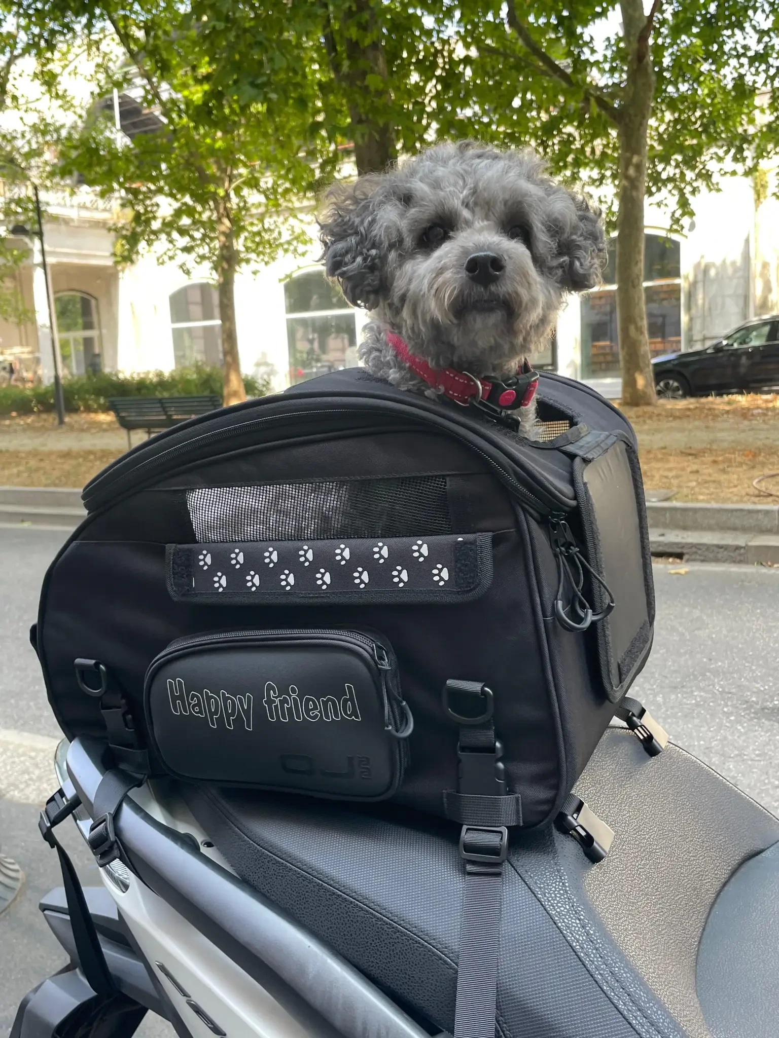 SEAT BAG PET 30L BLACK
