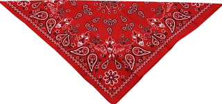 Cotton Bandana