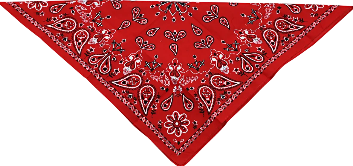 BANDANA COTTON RED PAISLY