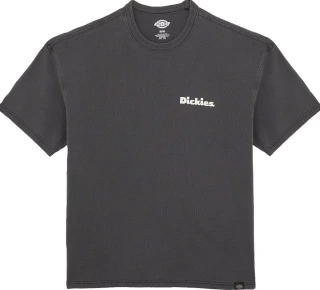 Dickies Slayden GD t-shirt