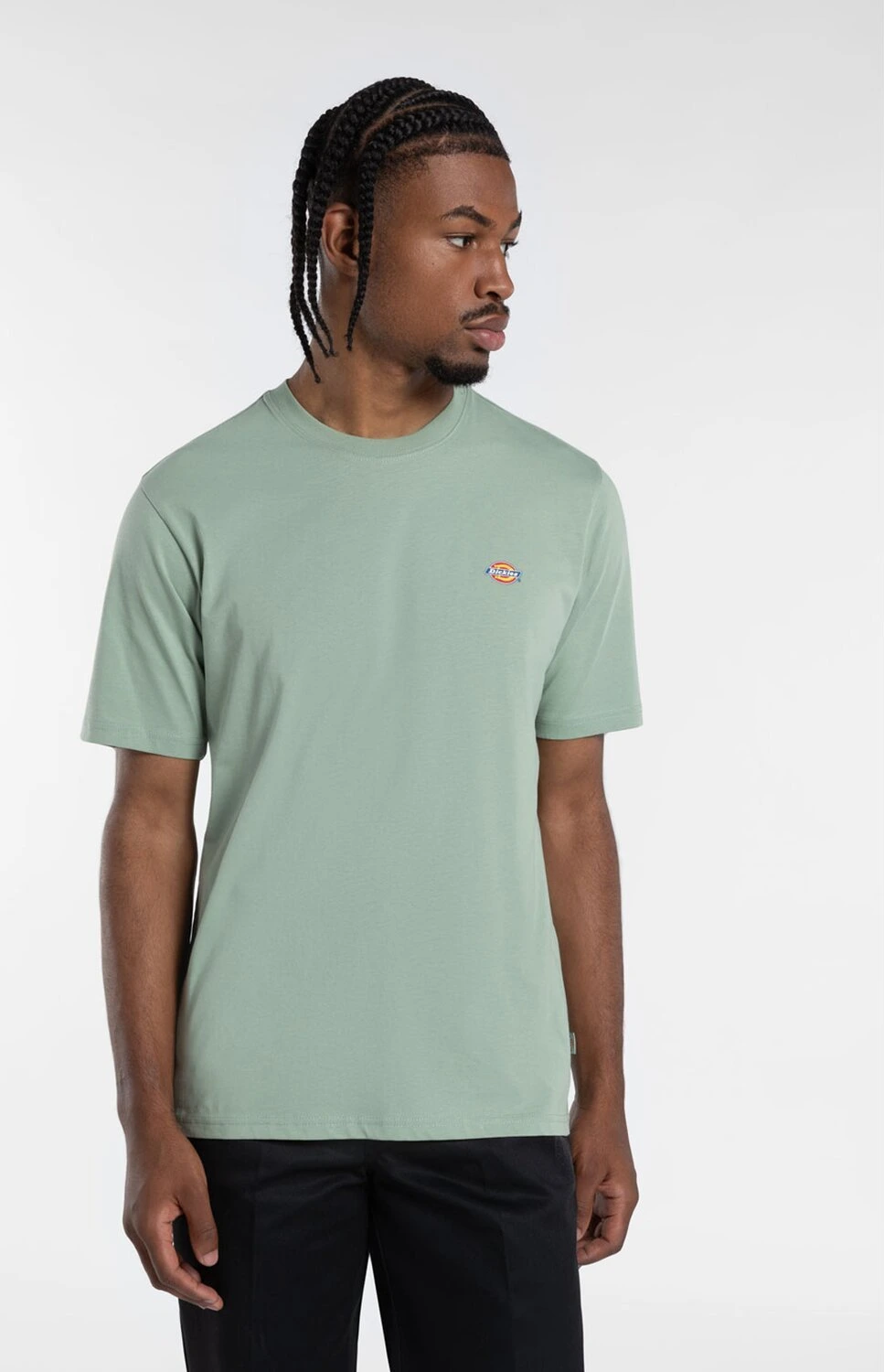 Dickies Mapleton t-shirt iceberg green, L