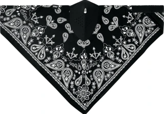ZANheadgear Neodanna mask black paisley
