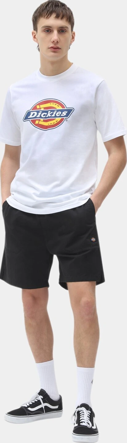 Dickies Pelican Rapids shorts, Black, L