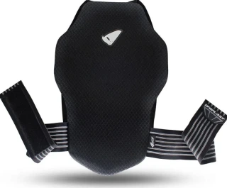 Reborn MV5 Back Protector