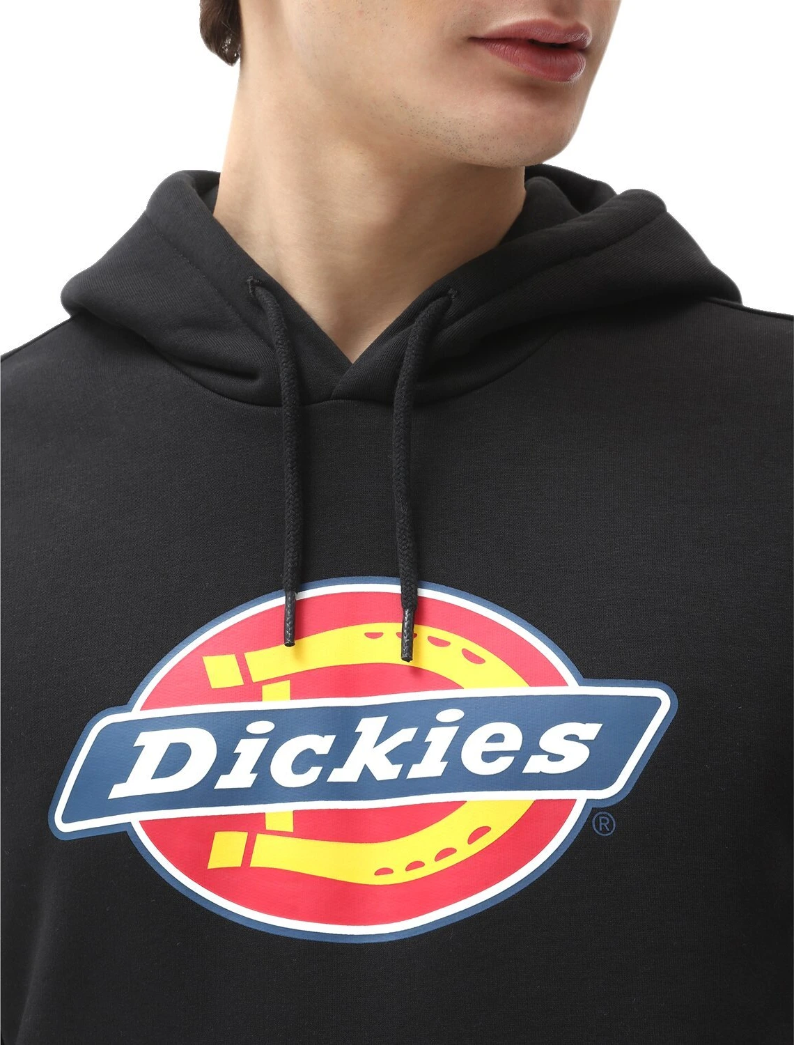 Dickies Icon Logo hoodie, Black, L