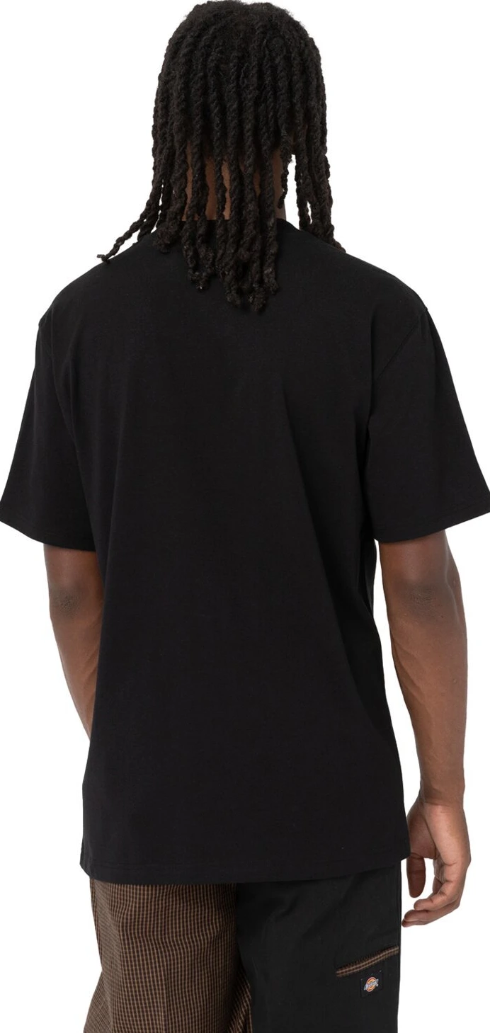 Dickies Luray pocket t-shirt, Black, L