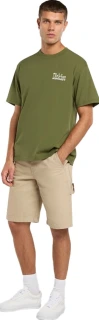 Dickies Vernal t-shirt