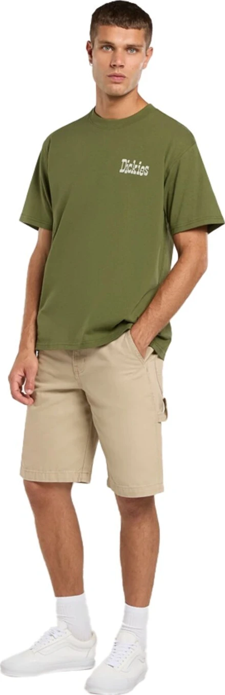 Dickies Vernal t-shirt, cypress Green, 2XL