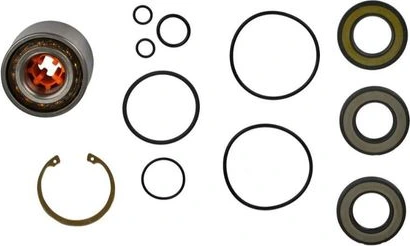 SBT Jetpump Rebuilt kit Sea Doo