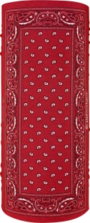 ZANheadgear Motley Tube polyester red paisley