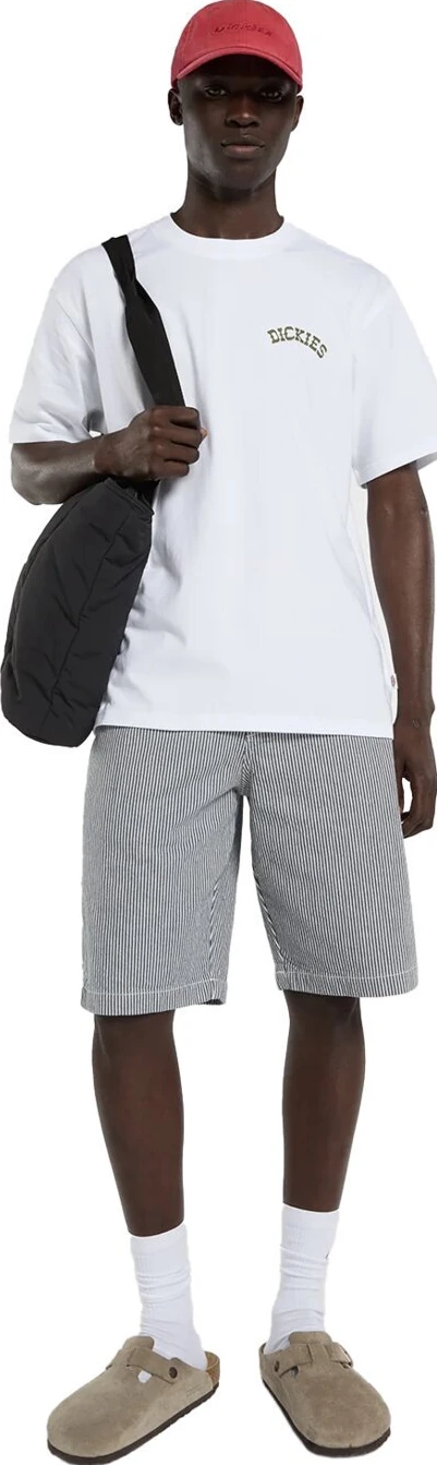 Dickies Bettsville t-shirt, White, L
