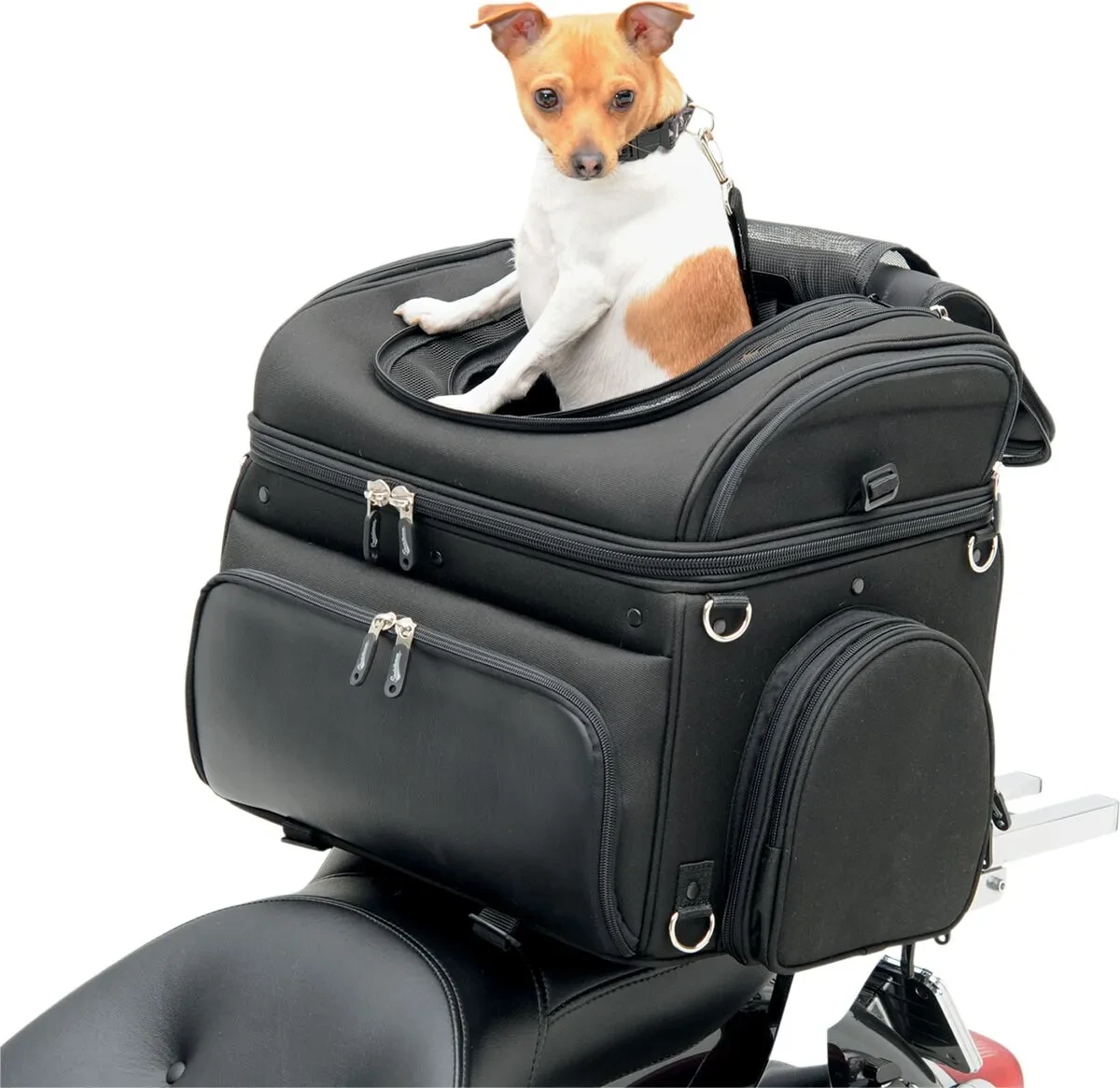 PET VOYAGER PC3200C