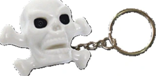 Triktopz Skull N Bones key chain