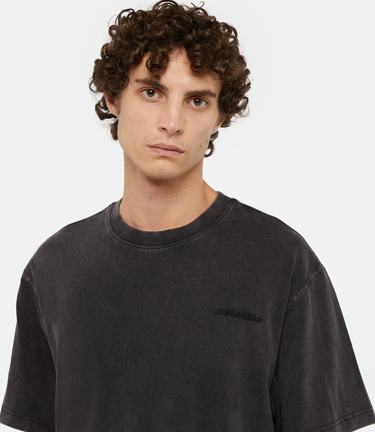 Dickies Plentywood t-shirt, acid wash, Black, M