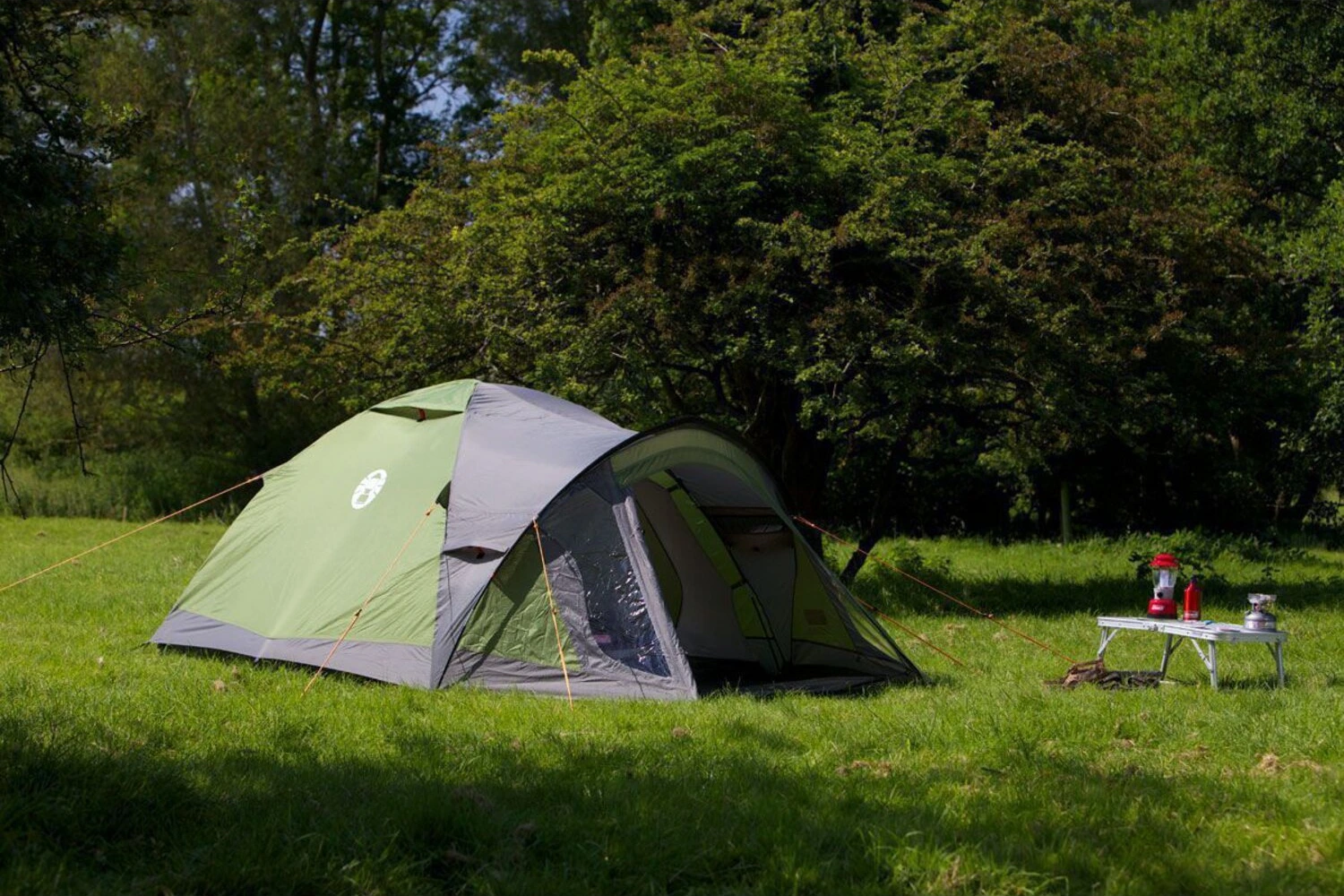 Coleman Darwin 2+ tent, dark grey, army Green, Green