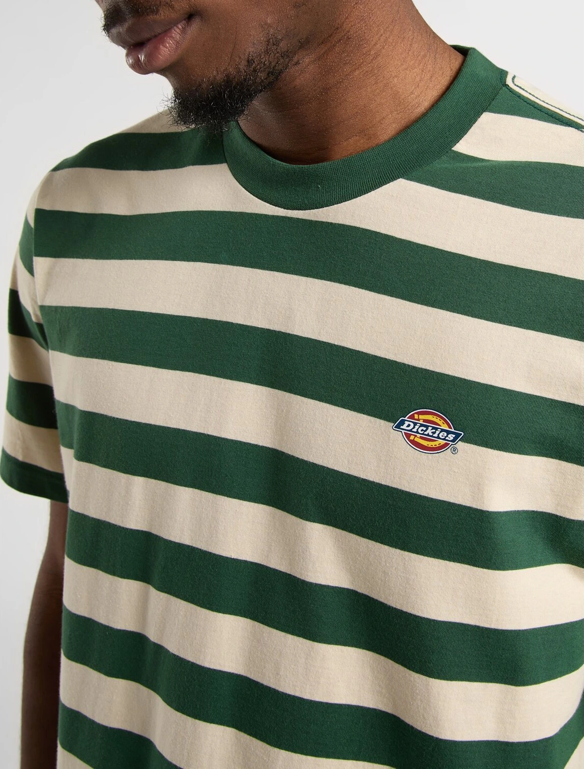 Dickies Rivergrove t-shirt pine needle green, S