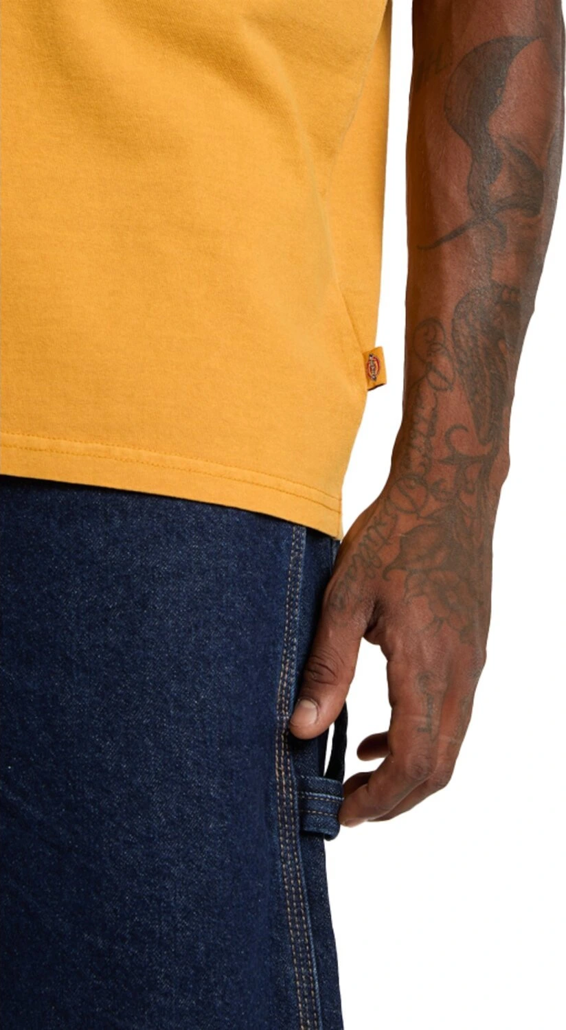 Dickies Darrtown t-shirt, sunflower Yellow, L