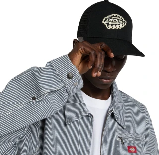 Dickies Irondale trucker cap