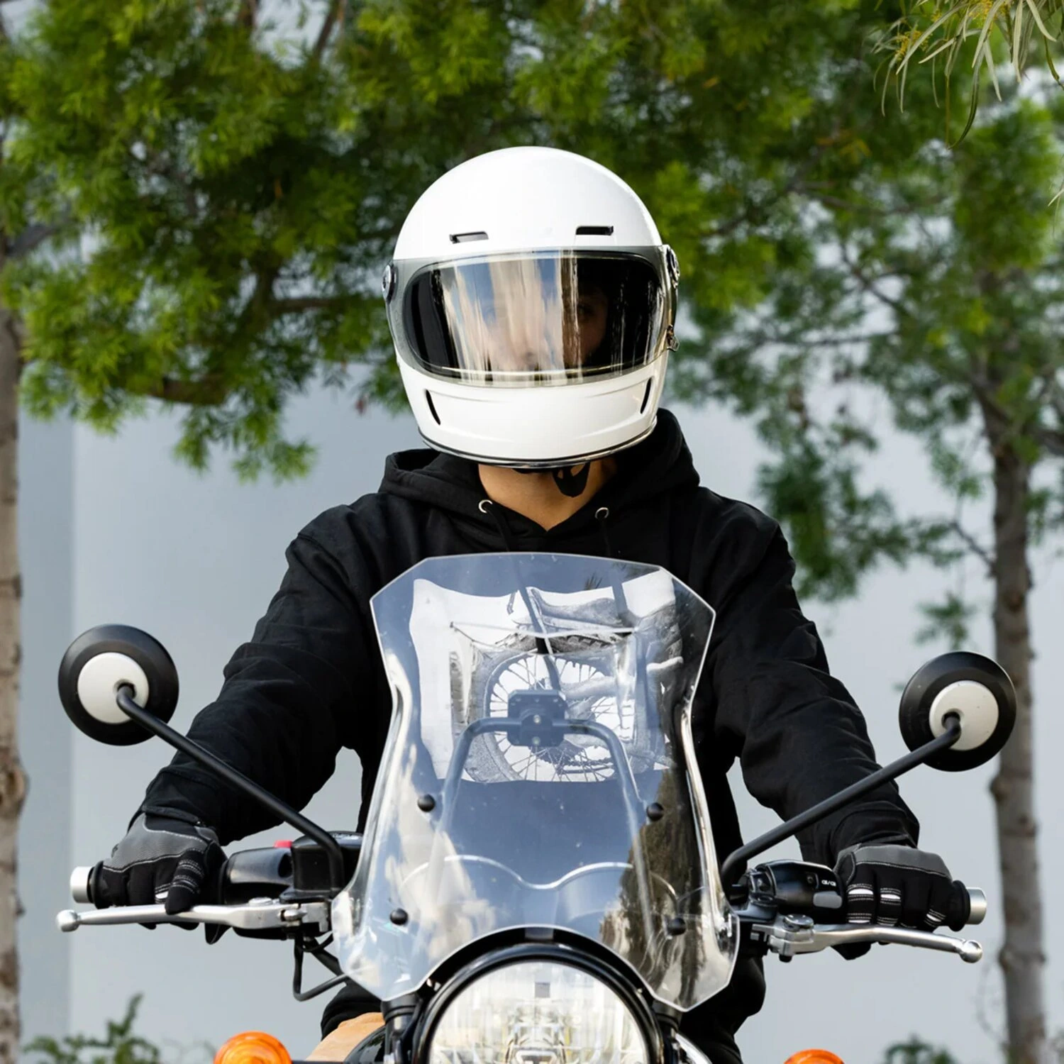Biltwell Gringo / S / SV 22.06 shield, light smoke