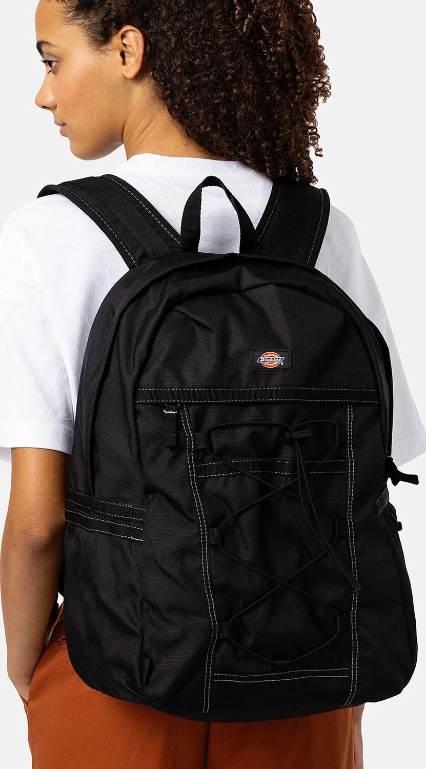 Dickies Ashville backpack, Black