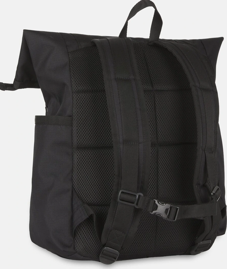 Dickies Ashville backpack, Black