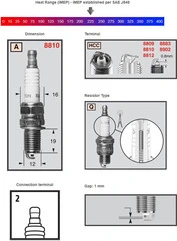 Champion Sparkplug 8810 Powersport