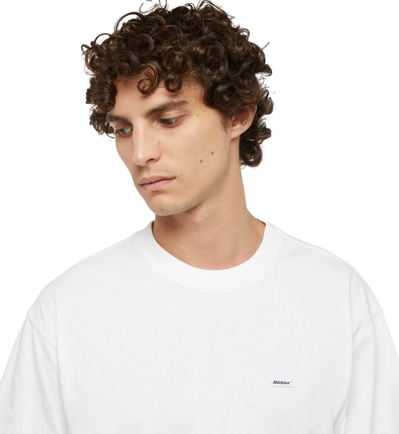 Dickies Clancy Heavyweight t-shirt, White, 2XL