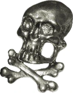Biker pins Skull & bones pin