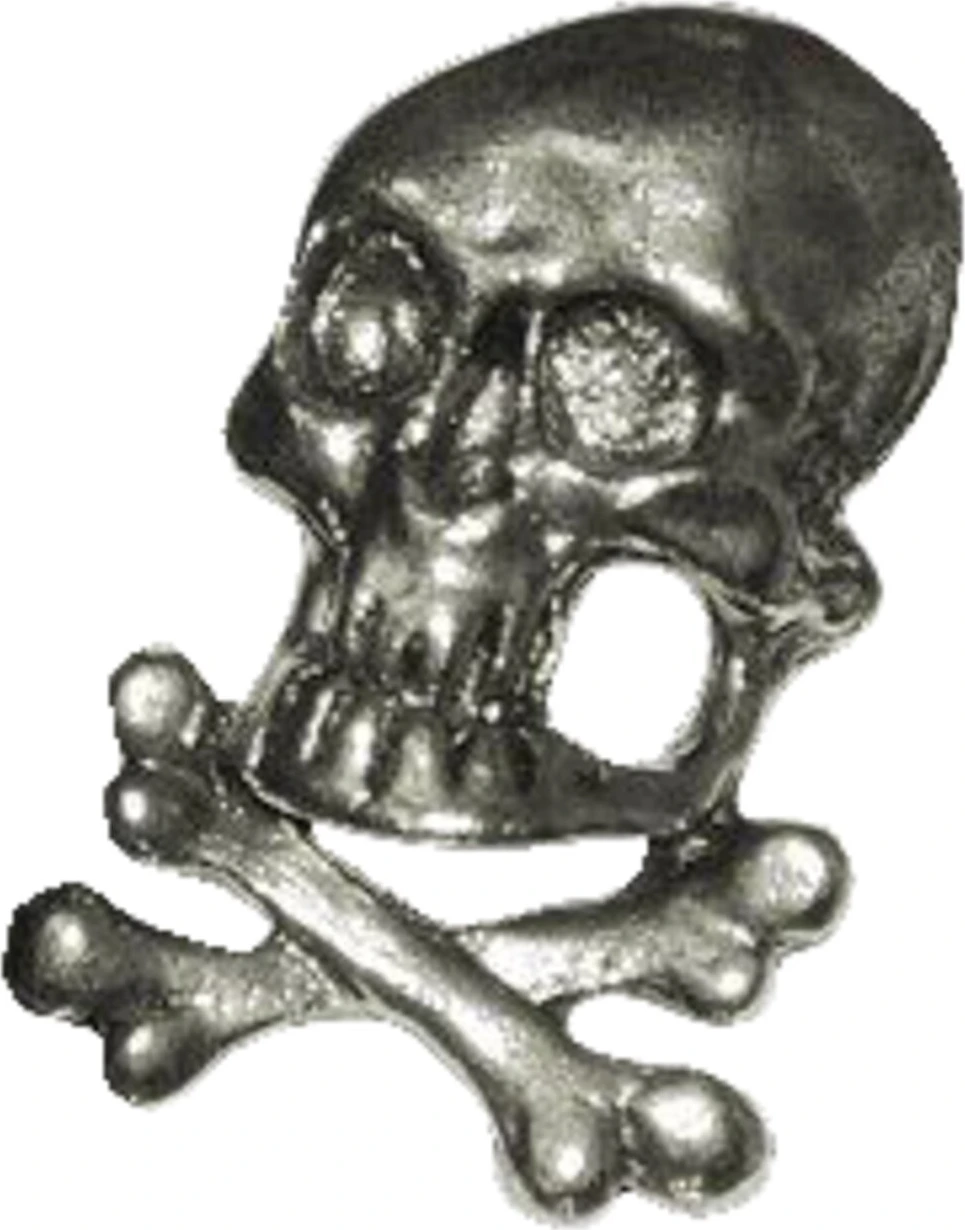 Biker pins Skull & bones pin