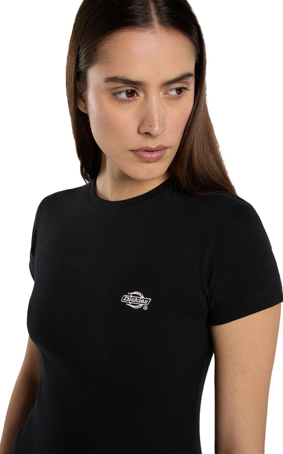 Dickies Gladeville female t-shirt, Black, L