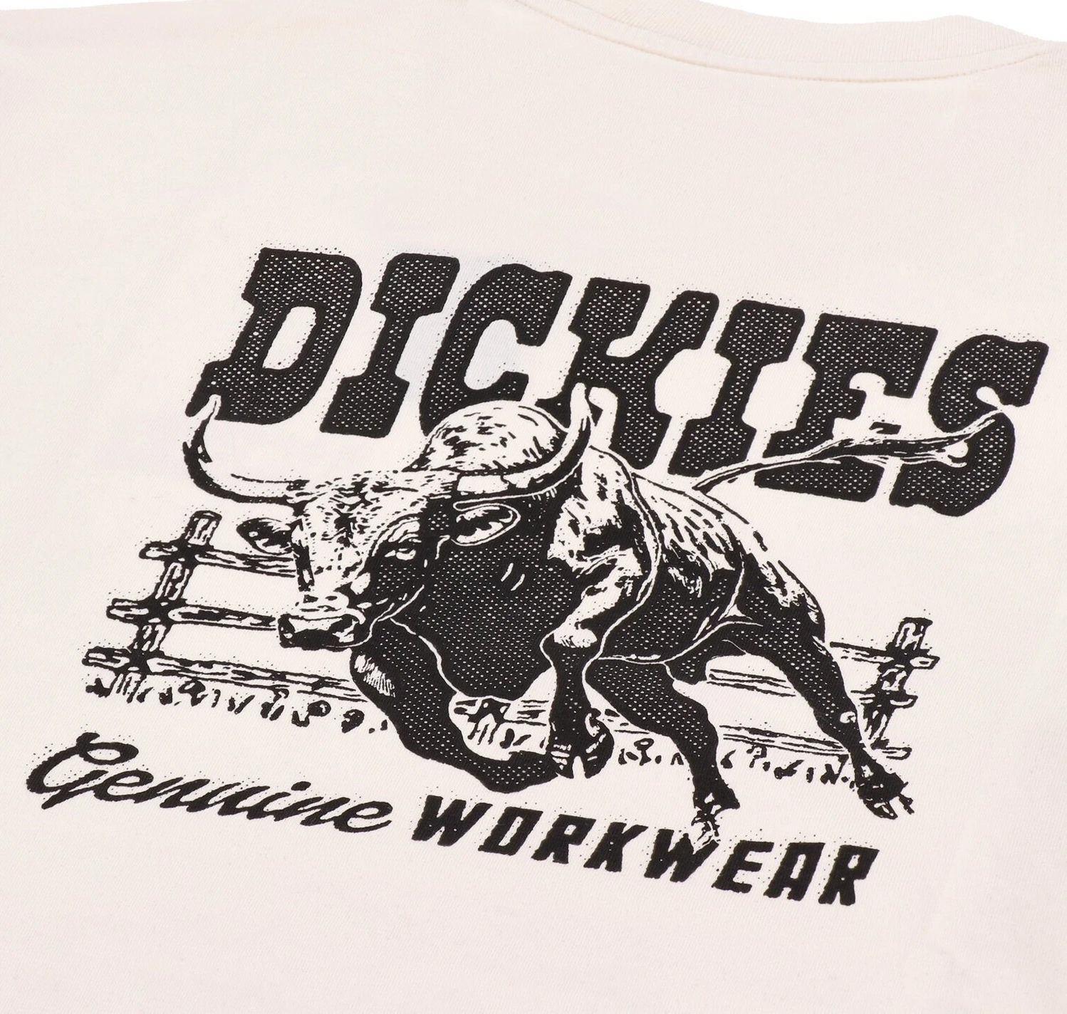 Dickies Buchtell t-shirt, Cream, S