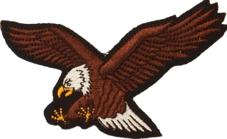Patch Flying