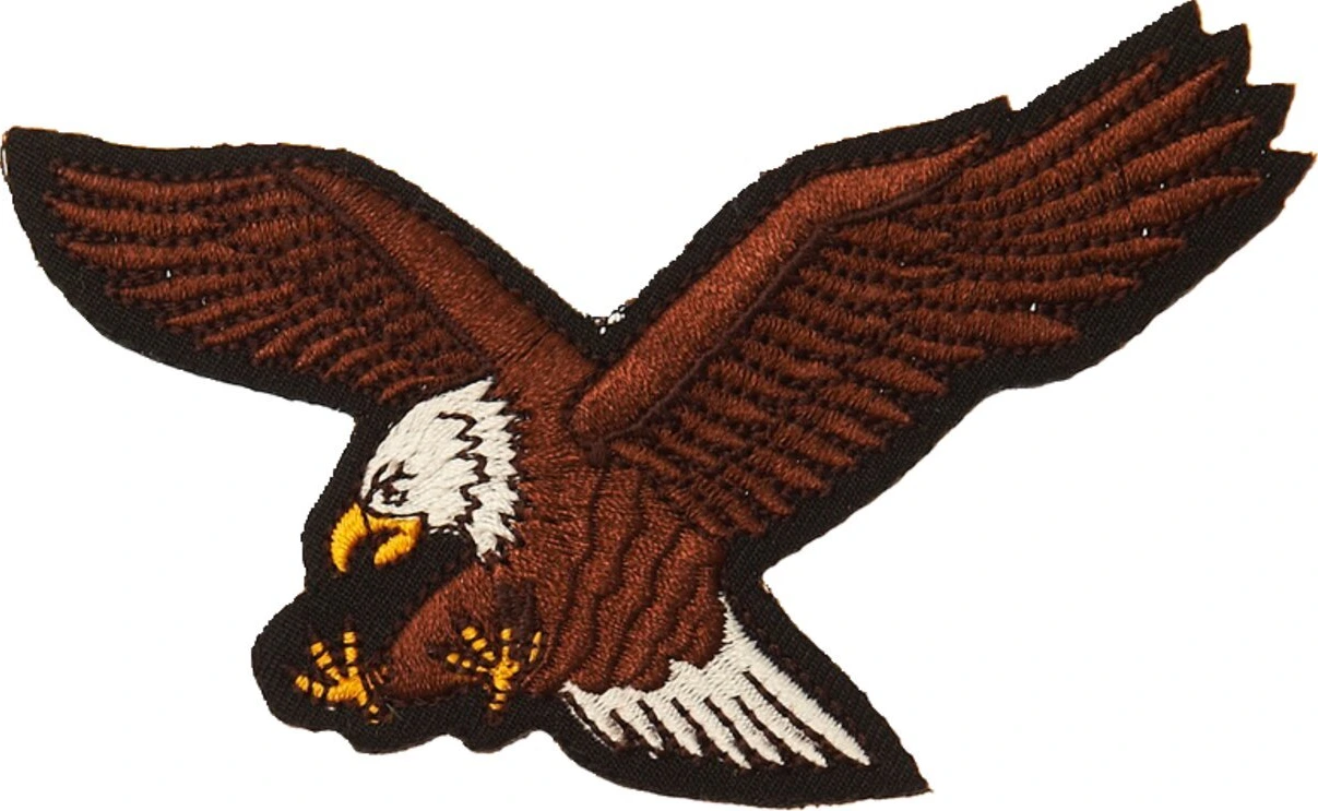 Patch Flying