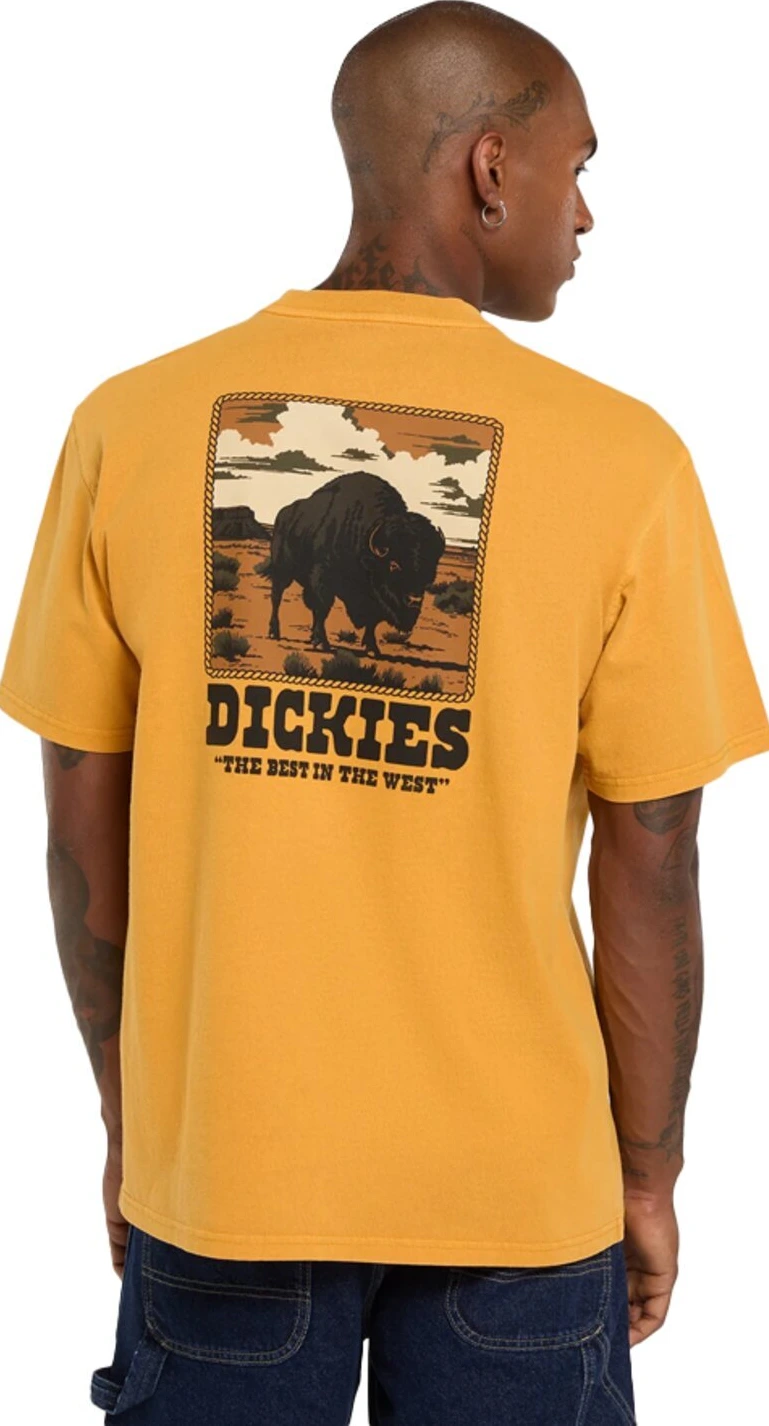 Dickies Darrtown t-shirt, sunflower Yellow, L