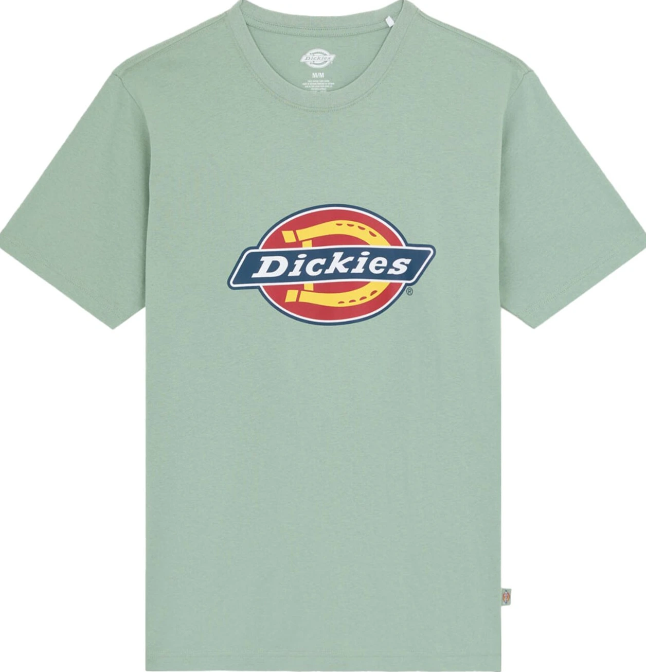 Dickies Icon Logo t-shirt iceberg green, 2XL